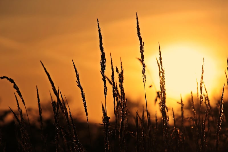 Sunrise